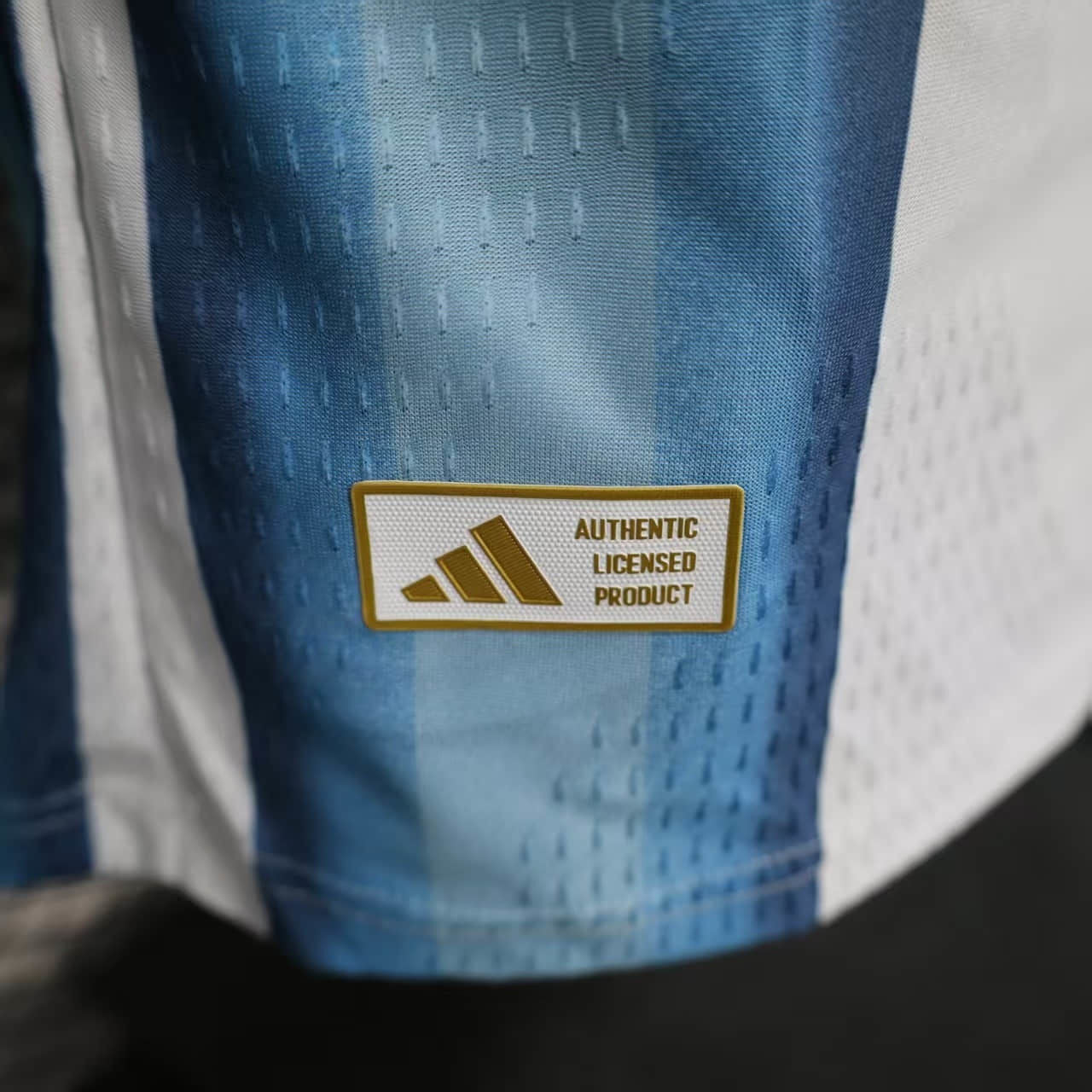 Homem | Argentina - Arg 2026 WC Home Long Sleeve Player