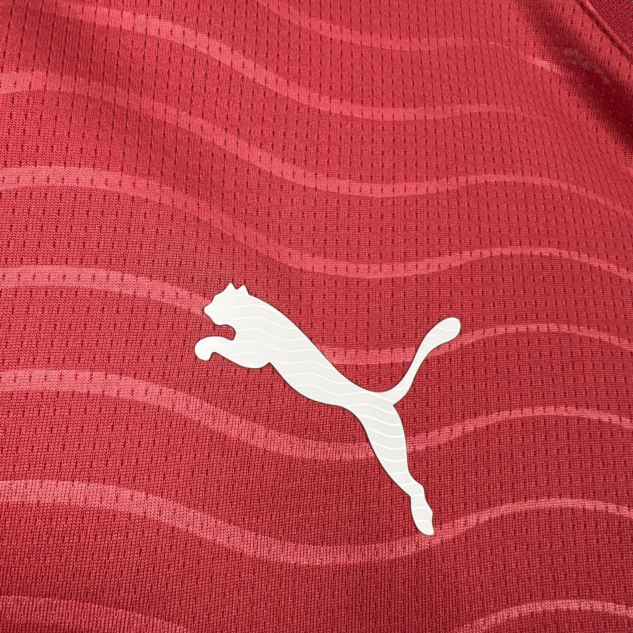 Homem | Portugal - Portugal 2026 WC Home Long Sleeve